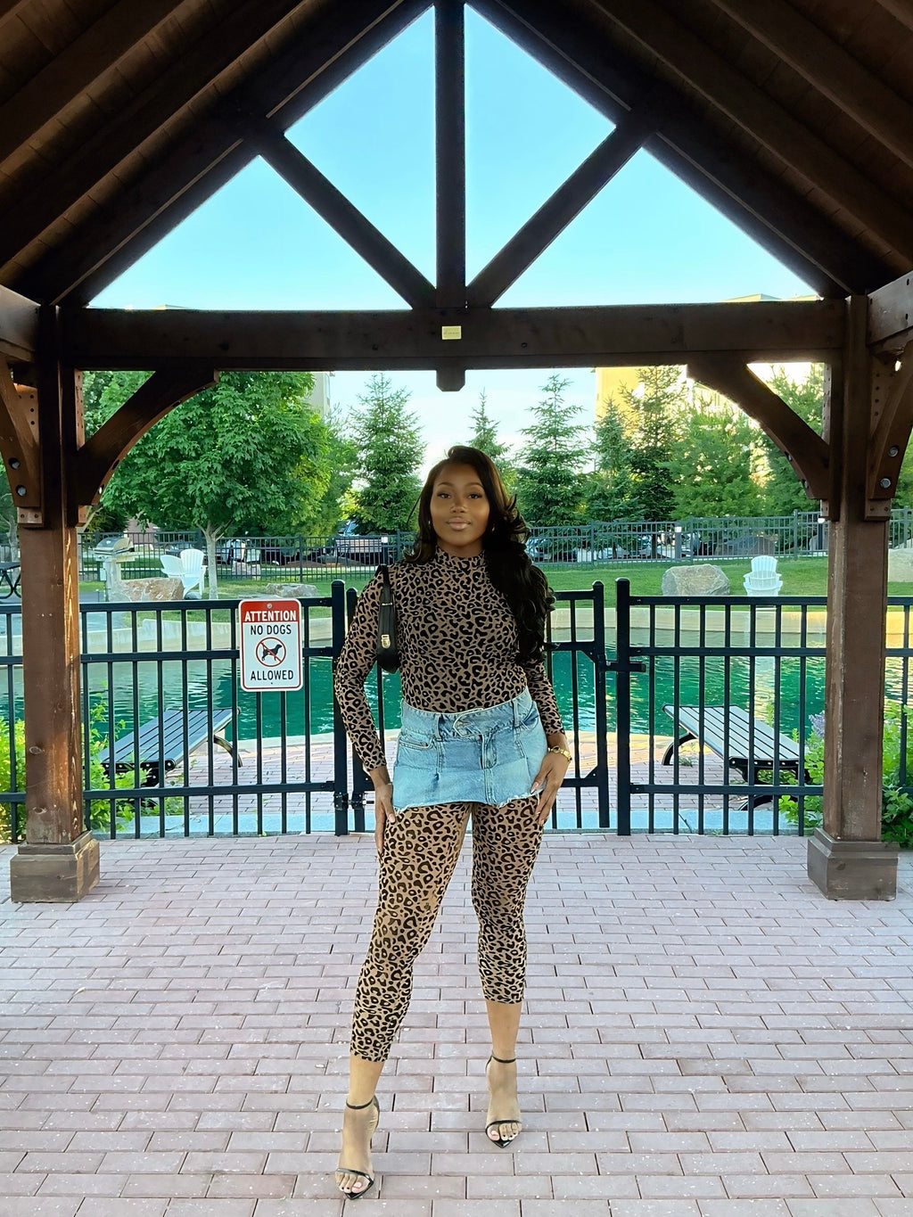 Leopard Dreams