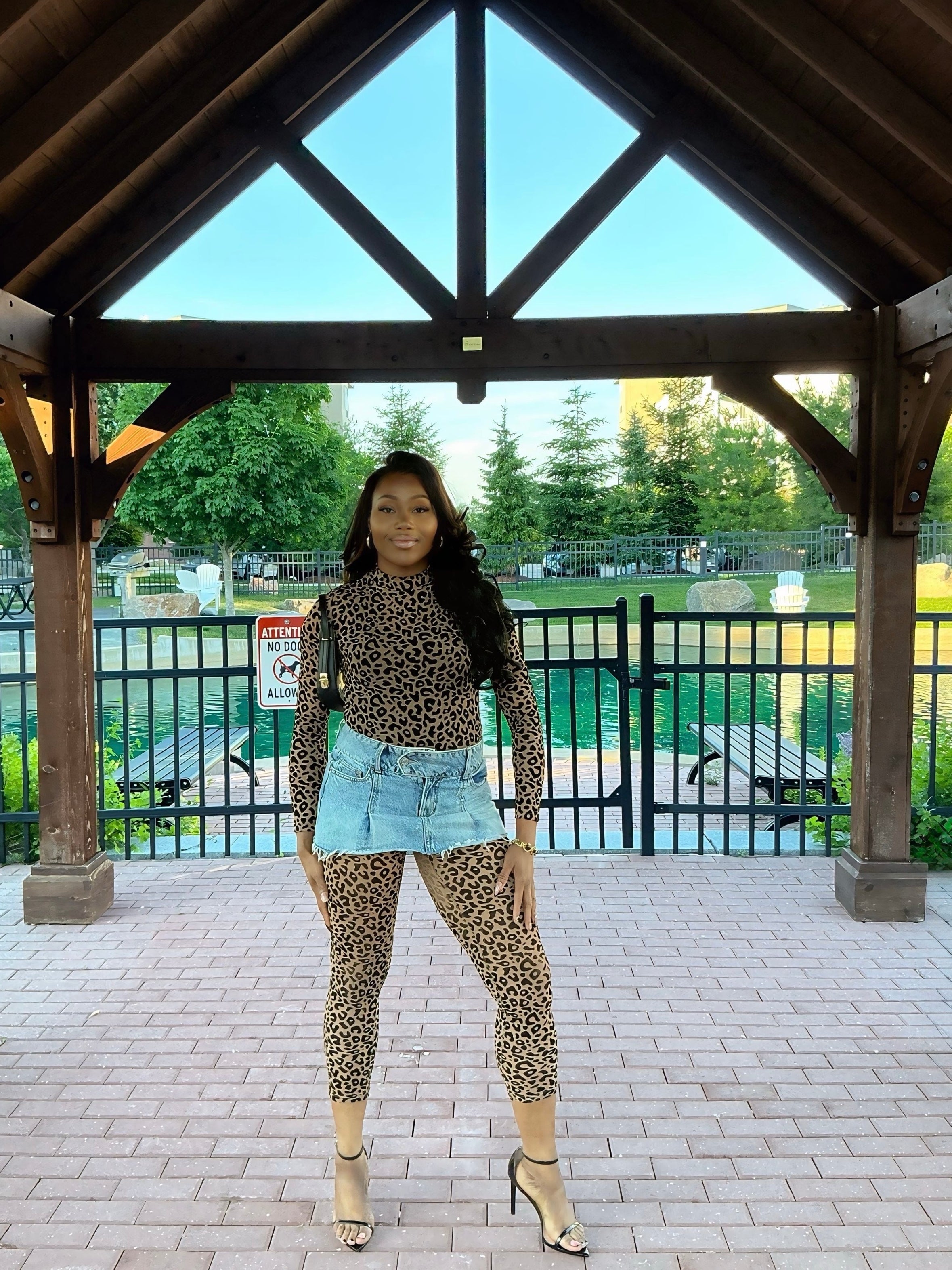 Leopard Dreams