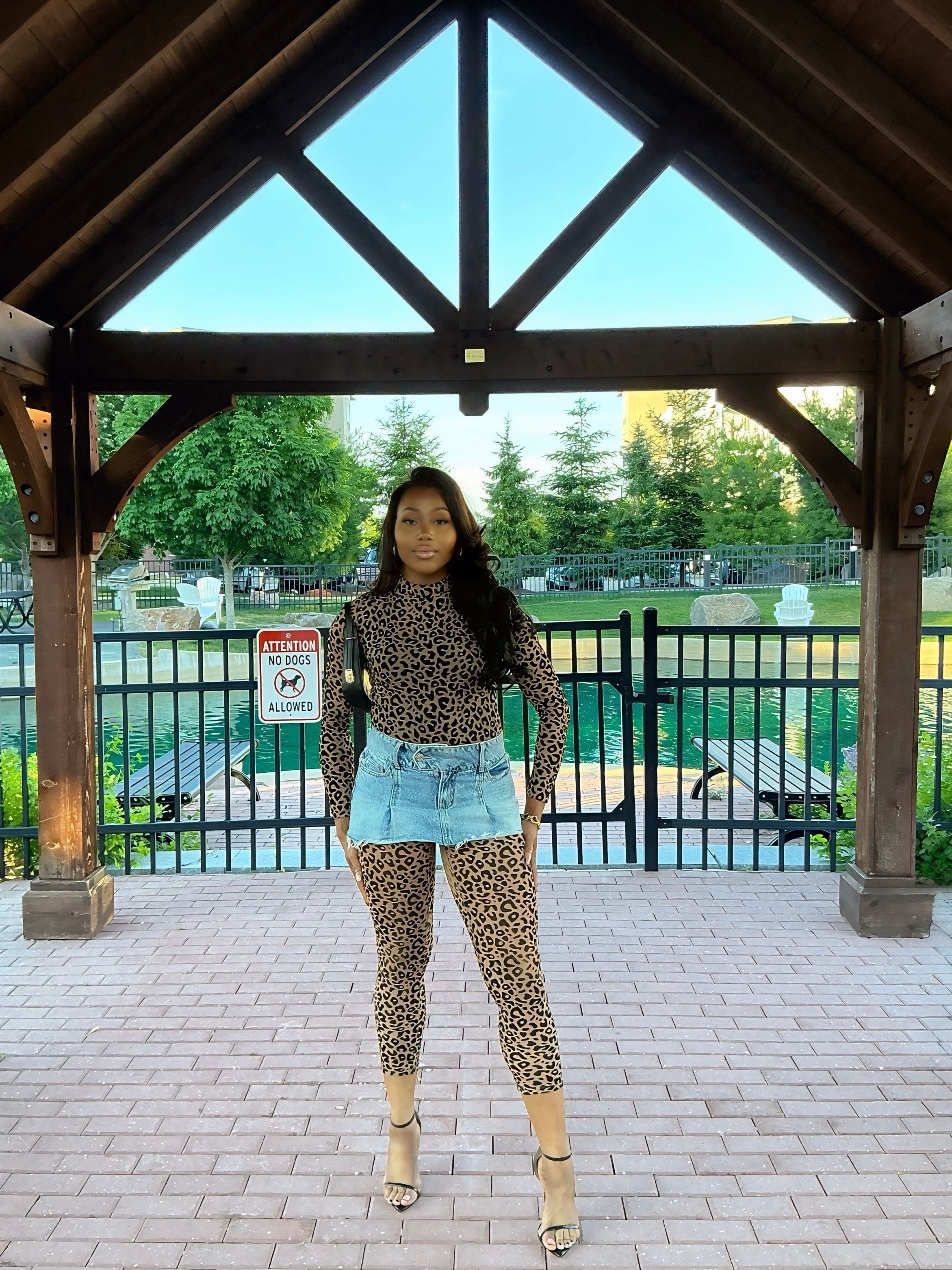 Leopard Dreams