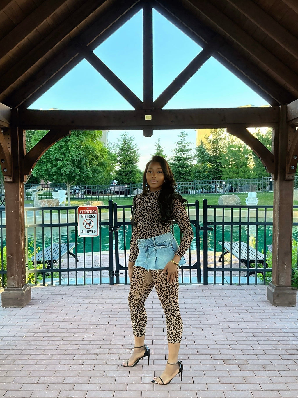 Leopard Dreams
